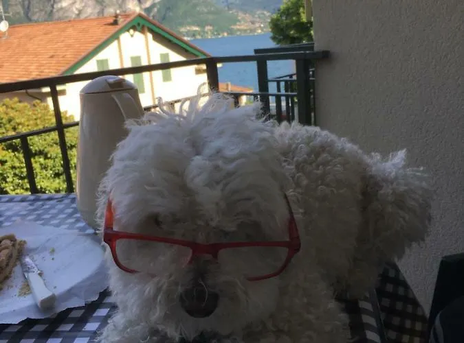 Daire Look Out & Dream Bellagio